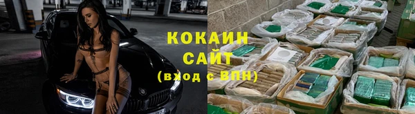 амф Инта