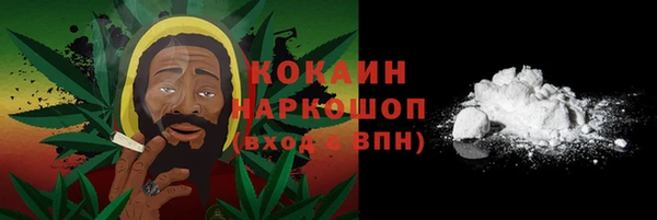гидра Инсар
