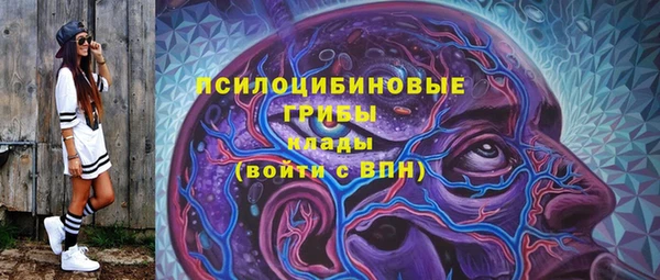 гидра Инсар