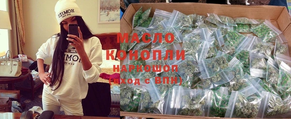 гидра Инсар