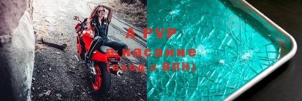 амф Инта
