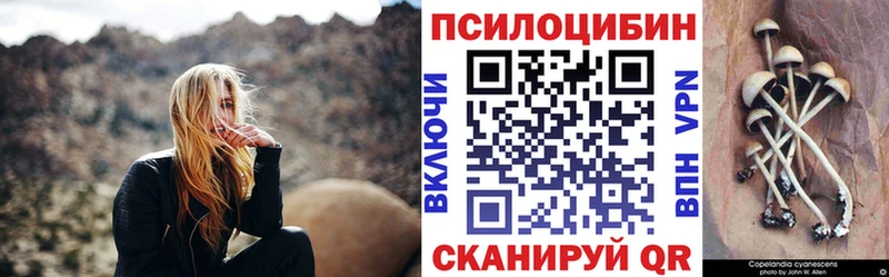 Купить закладки  Заволжье  Галлюциногенные грибы мицелий 